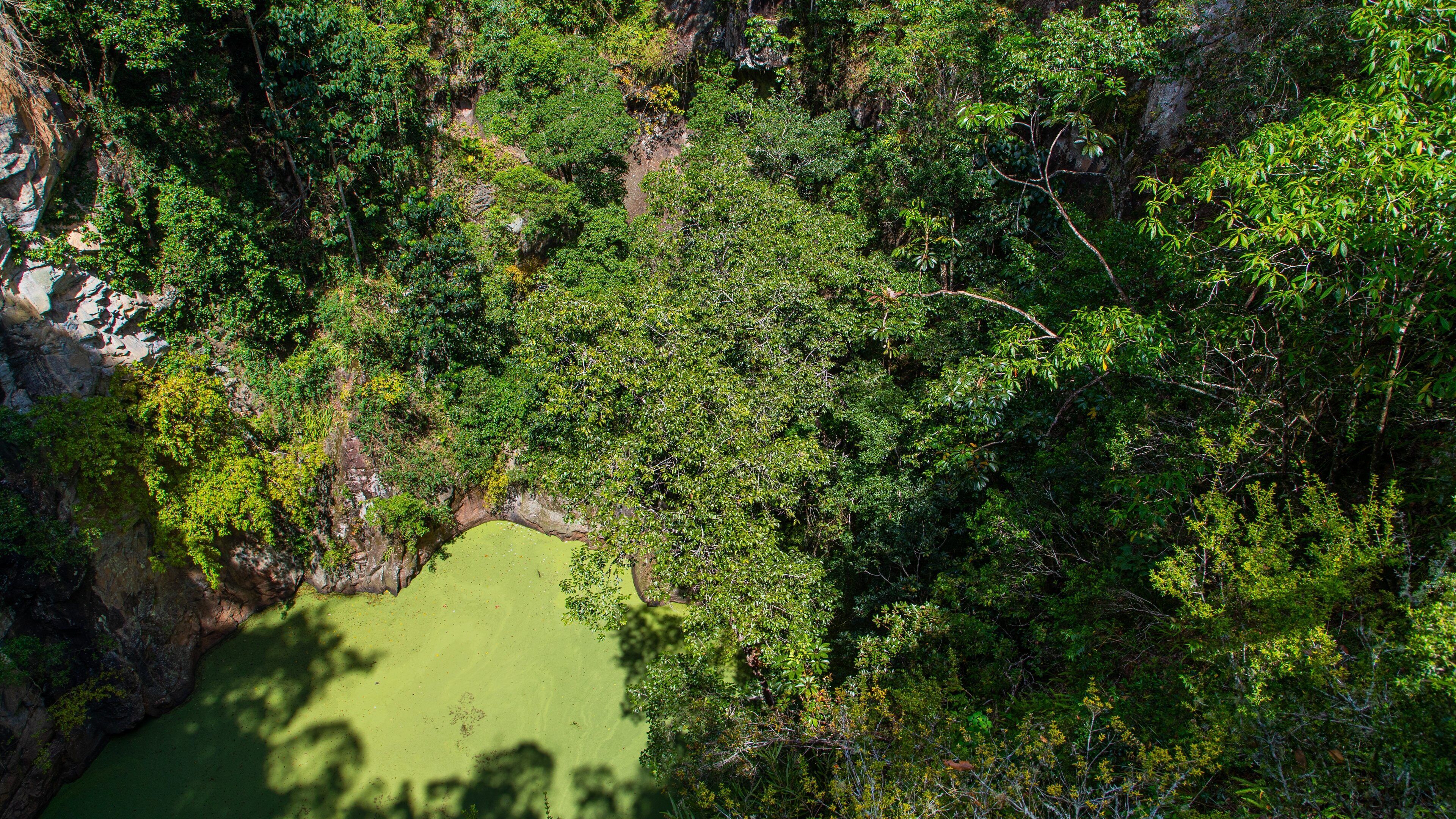 Mount Hypipamee National Park featuring a garden and a pond