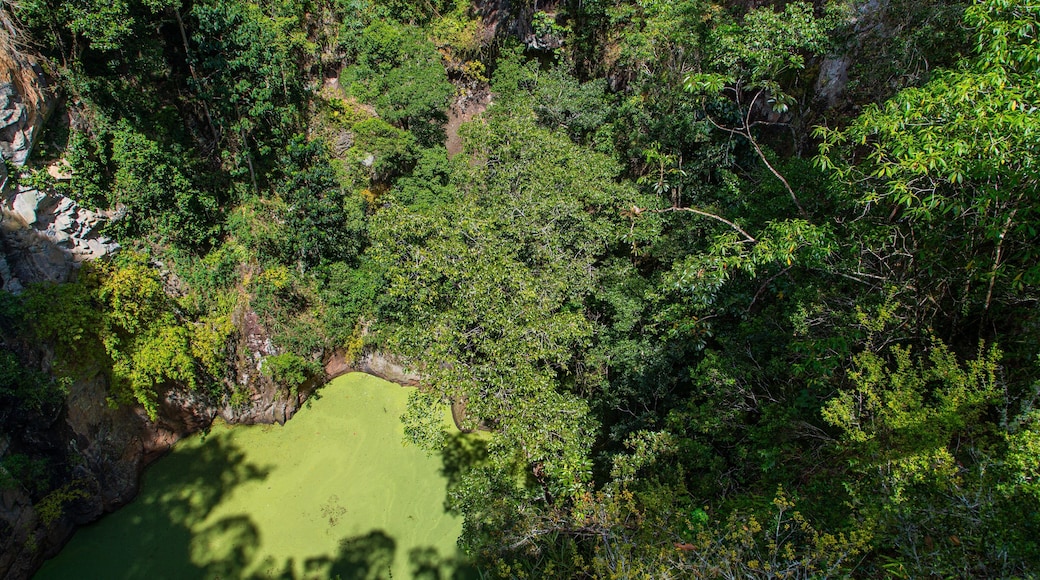 Mount Hypipamee National Park featuring a garden and a pond