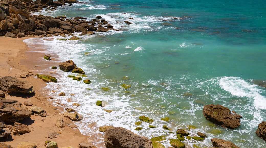 Cala del Faro showing general coastal views, a sandy beach and rocky coastline