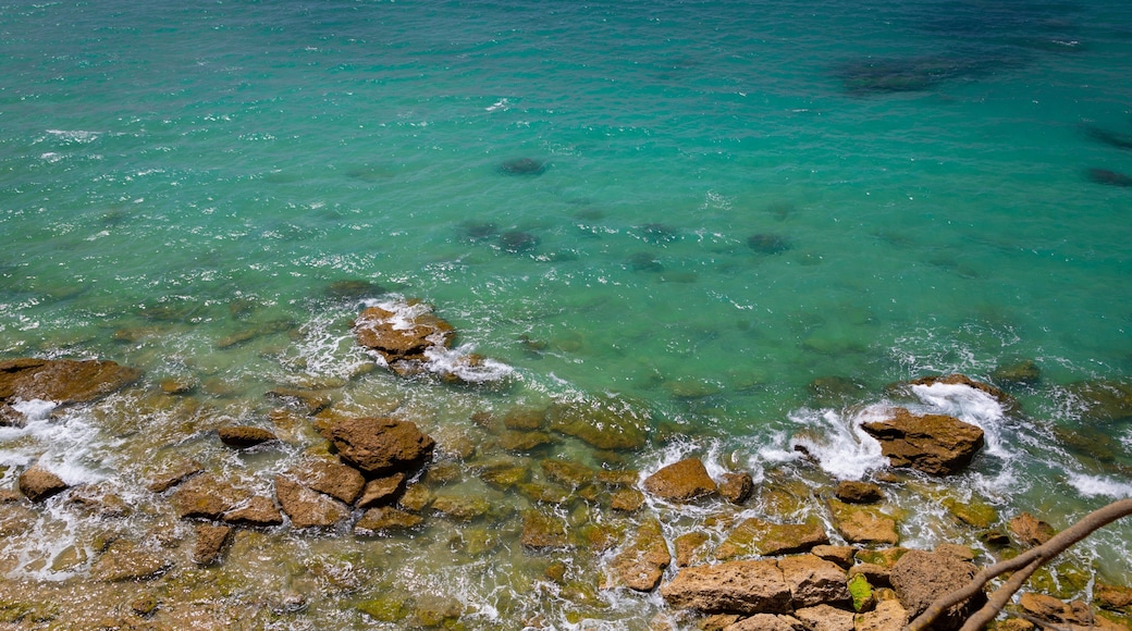 Cala del Faro featuring general coastal views