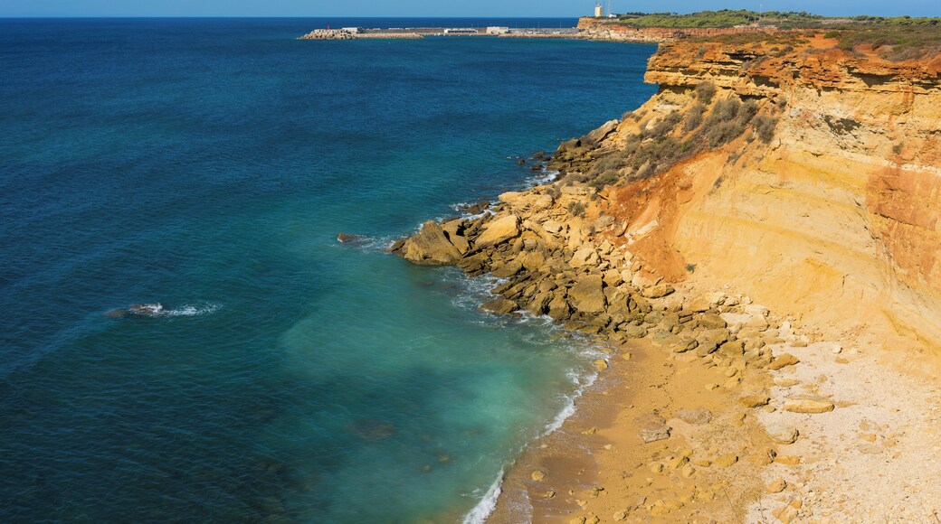 カラ・スダリオ