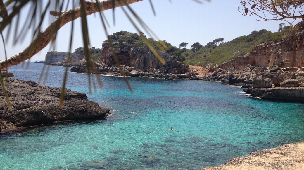 the water is cristal clear, perfect for snorkeling - there is a very small sandy beach, or you can jump from the cliffs into the water
