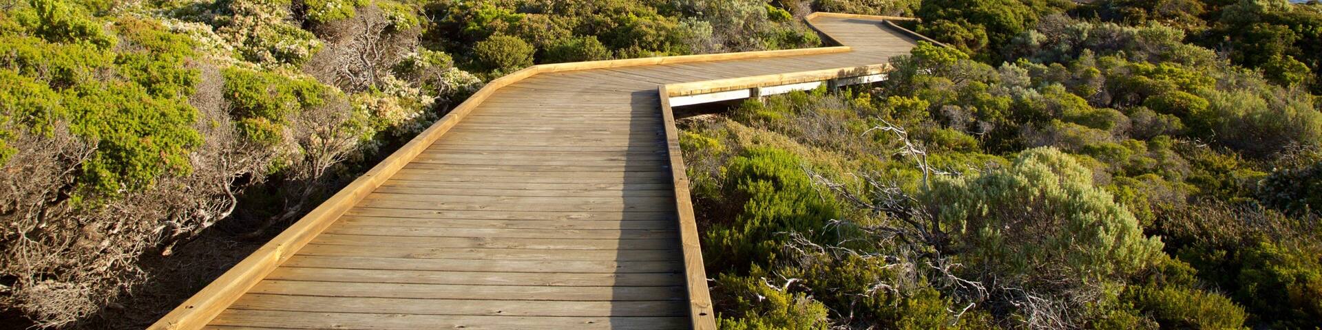 Remarkable Rocks featuring general coastal views