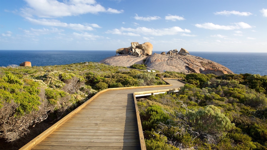 Remarkable Rocks featuring general coastal views