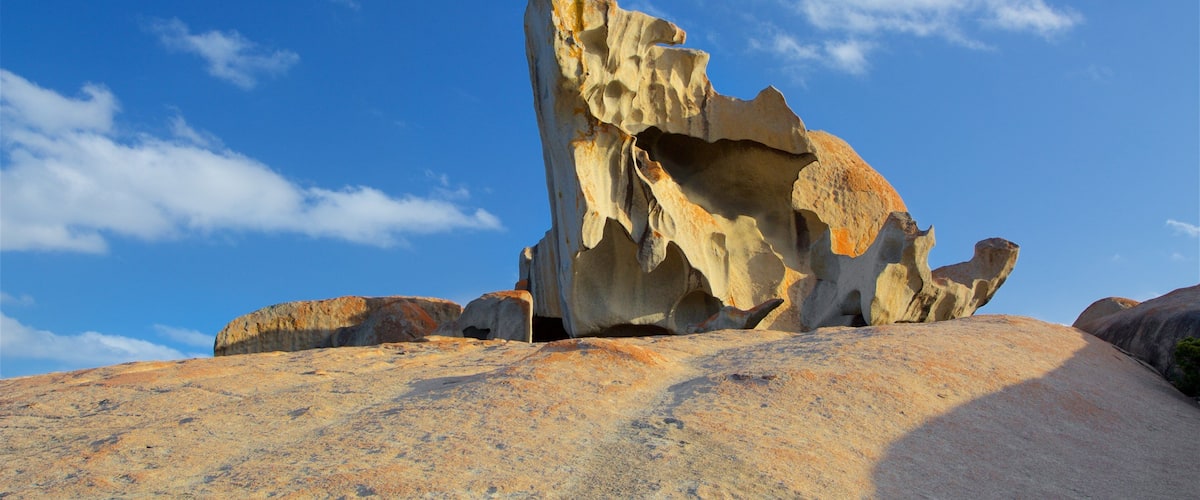 Remarkable Rocks featuring rugged coastline