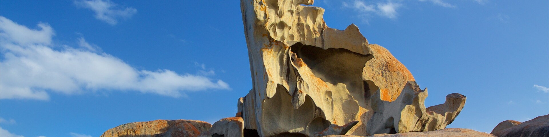 Remarkable Rocks featuring rugged coastline