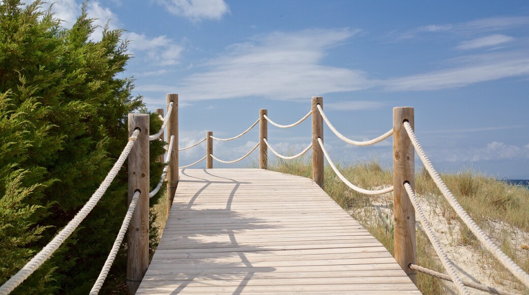Punta Alta which includes general coastal views