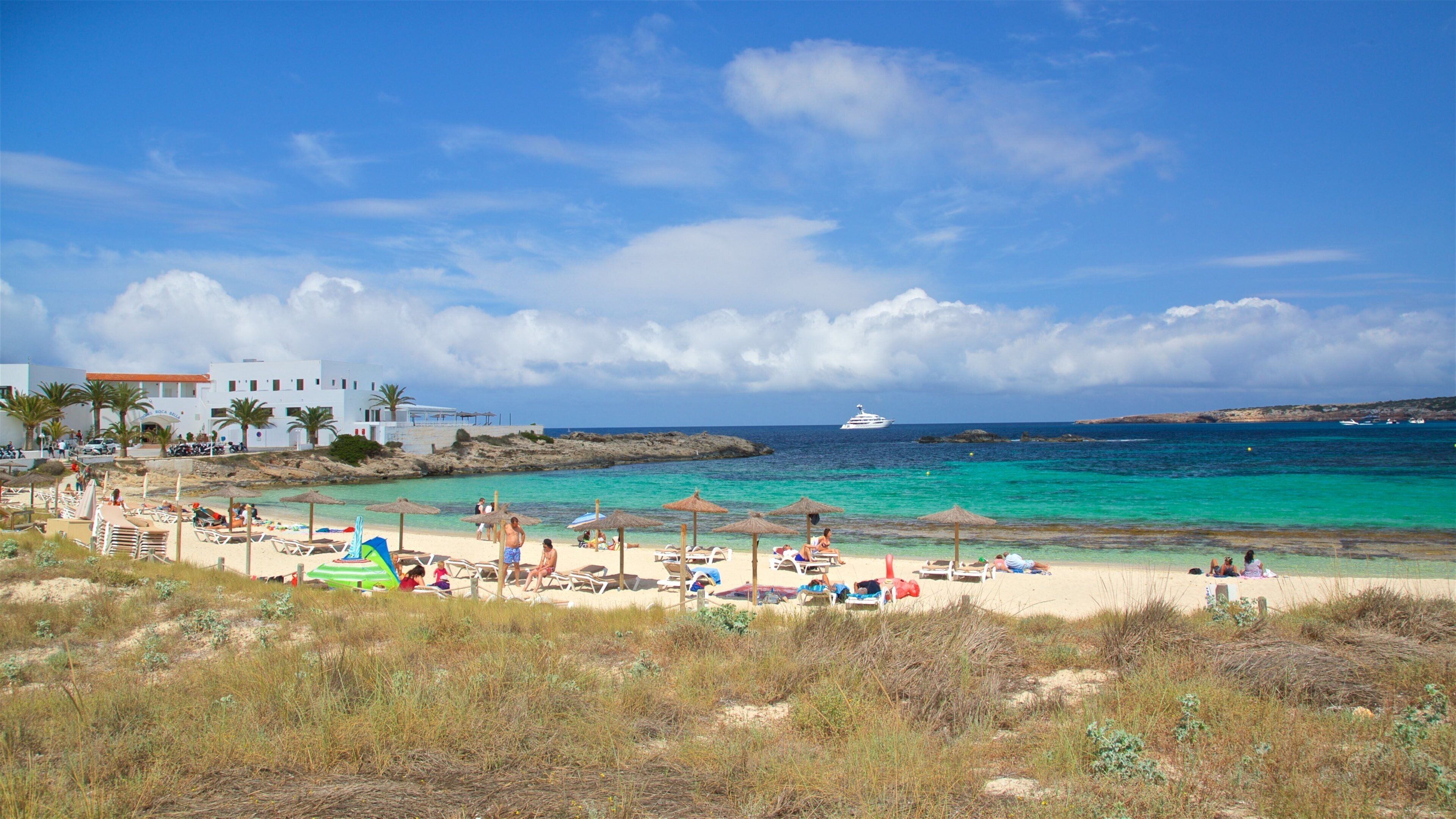 Punta Alta showing general coastal views and a sandy beach