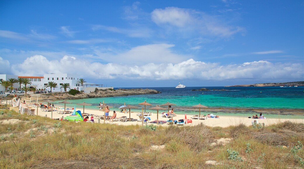 Punta Alta showing general coastal views and a sandy beach