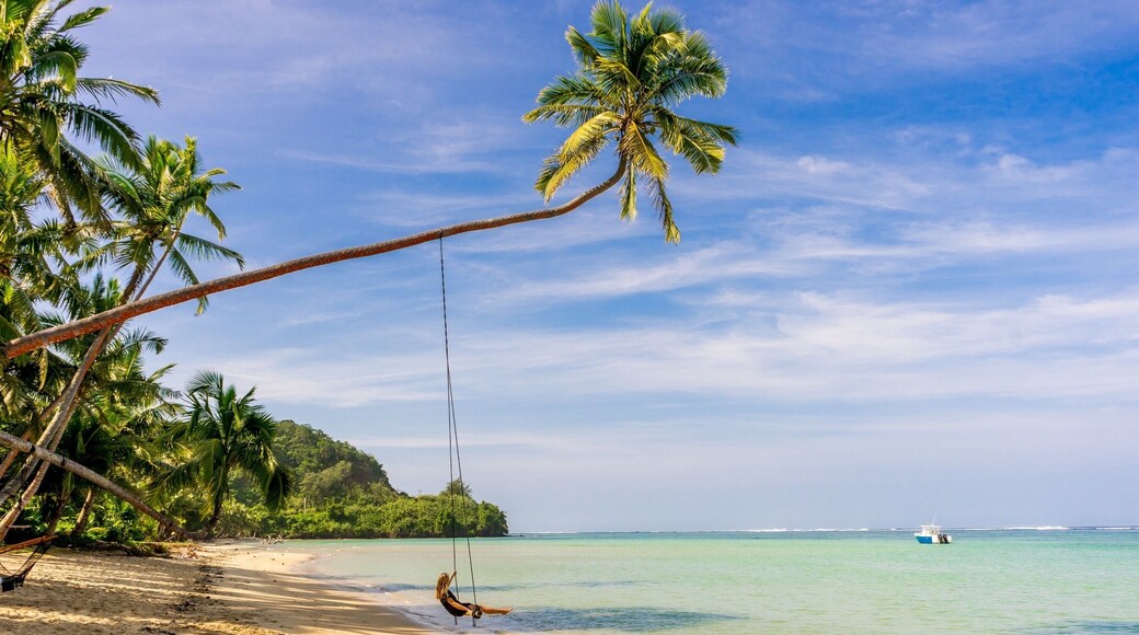 We would give an arm and a leg to be here right now! How about you?
#TroveOn #Trover #Fiji #FijiWater #Beachlife #Palmtrees #traveltheworld #BeachTips