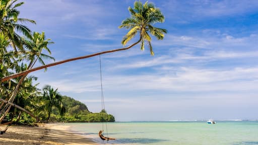 We would give an arm and a leg to be here right now! How about you?
#TroveOn #Trover #Fiji #FijiWater #Beachlife #Palmtrees #traveltheworld #BeachTips