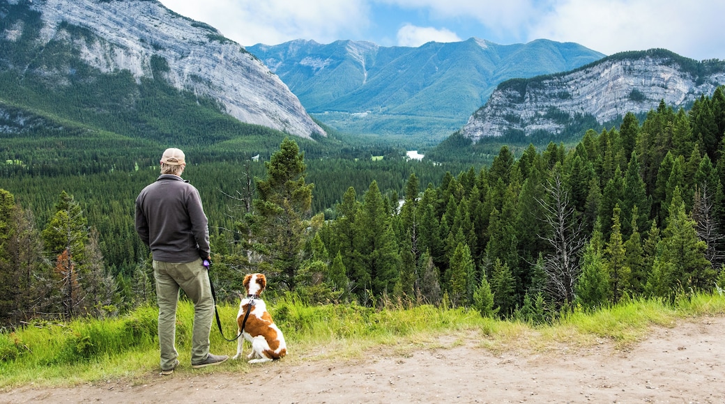 Montaña Tunnel Mountain