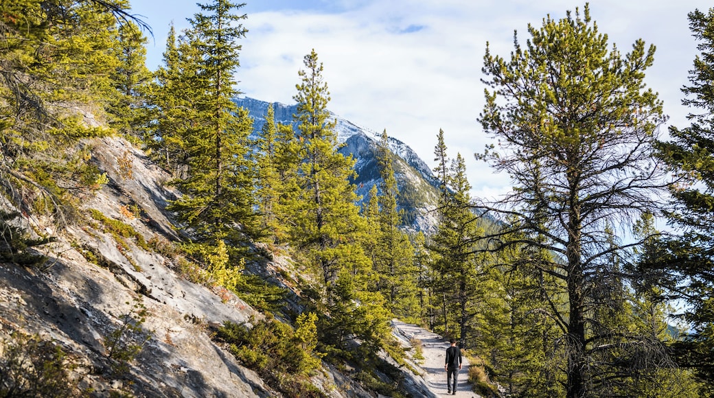 Montaña Tunnel Mountain