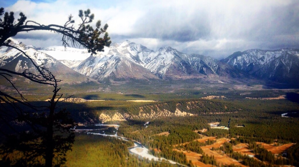 Quick trip up to the summit. Provides great views of the Bow Valley.