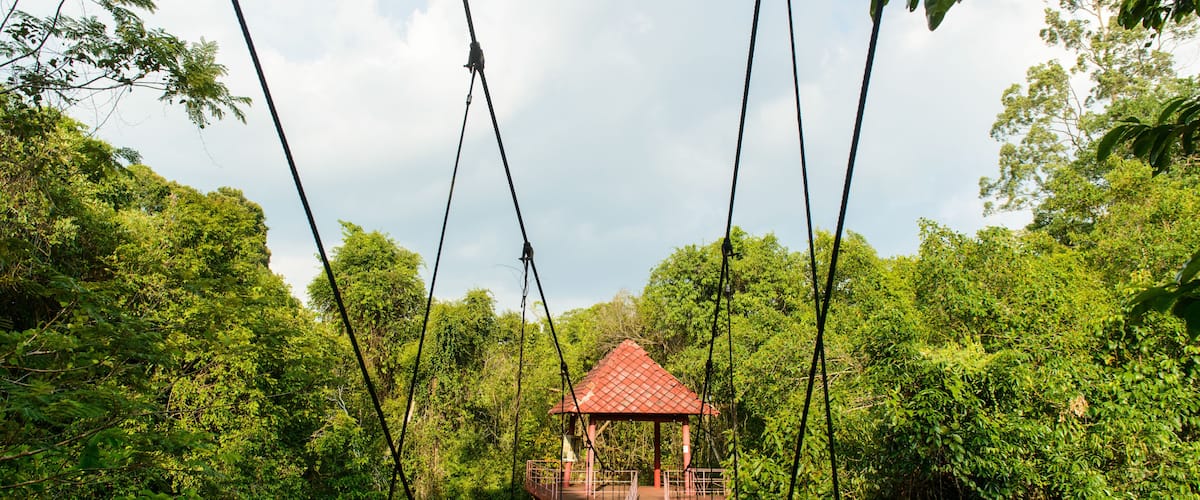 A suspension bridge with a red-roofed pavilion in a dense forest.