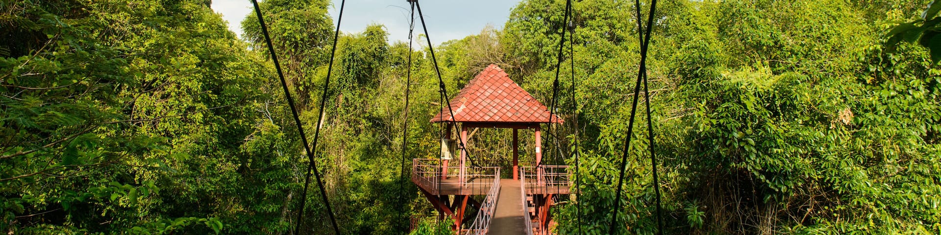 A suspension bridge with a red-roofed pavilion in a dense forest.