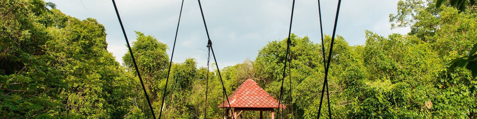 Un puente colgante con un pabellón de techo rojo en un bosque frondoso.