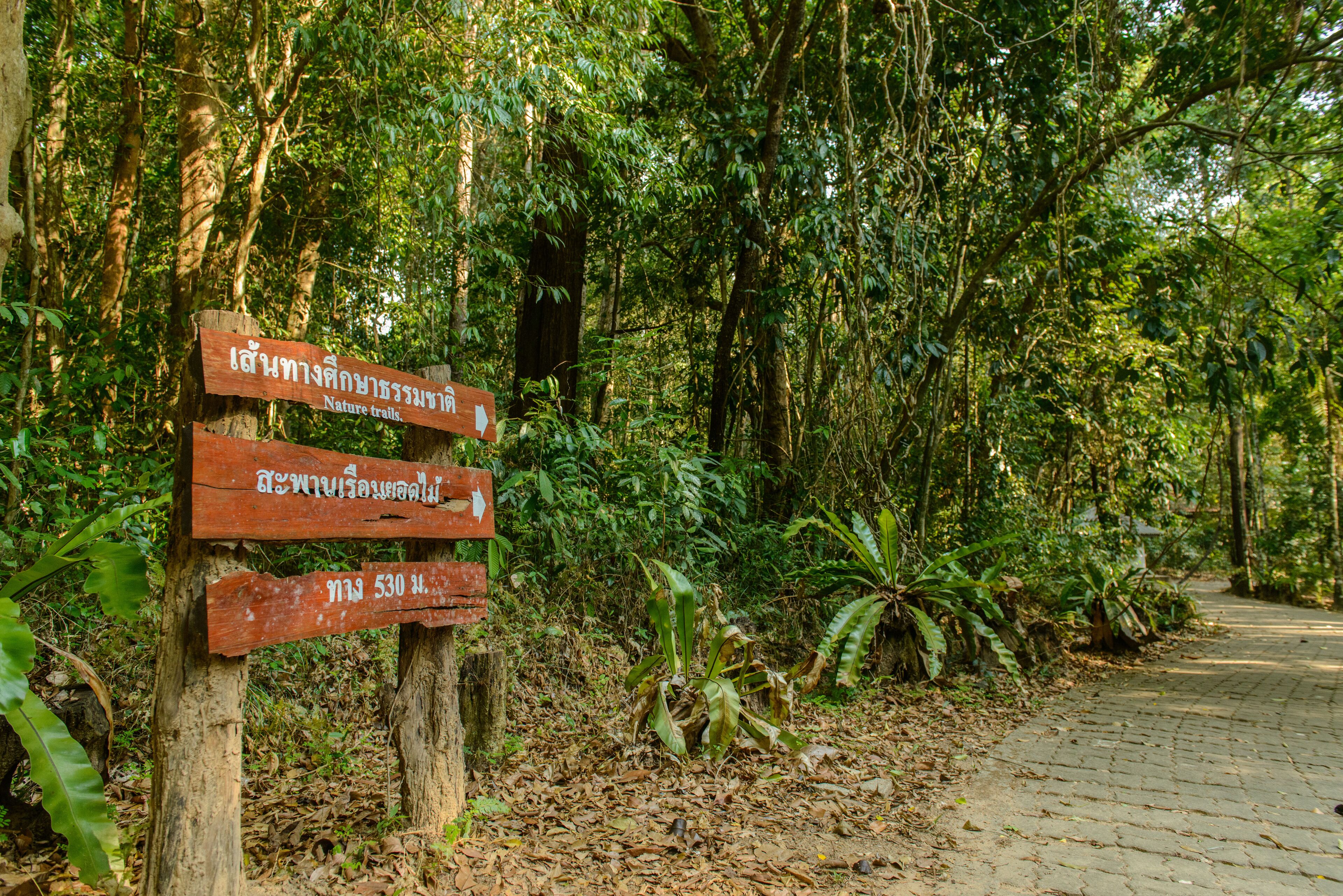 The guide post “ Natural Trails” “Canopy Walkway” and “530 meters” Sort from top to bottom Translated from Thai Text at Thung Khai Botanic Garden in Yan Ta Khao District, Trang, Thailand.
