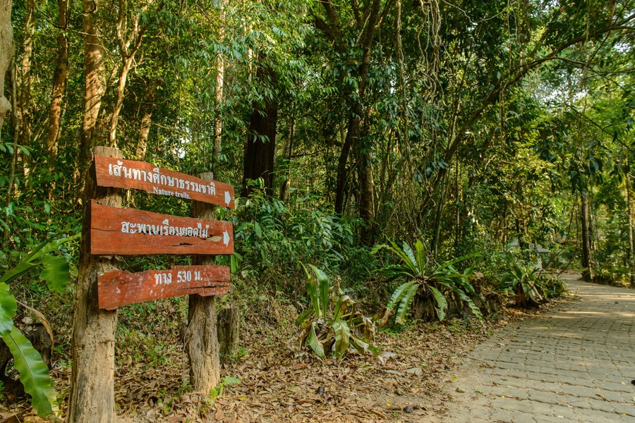 The guide post “ Natural Trails” “Canopy Walkway” and “530 meters” Sort from top to bottom Translated from Thai Text at Thung Khai Botanic Garden in Yan Ta Khao District, Trang, Thailand.