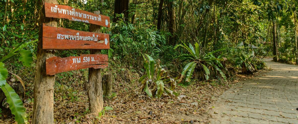 A wooden signpost with directional arrows in a forested area.