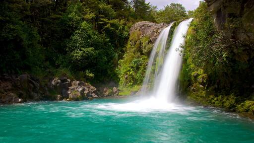 Taranaki Falls