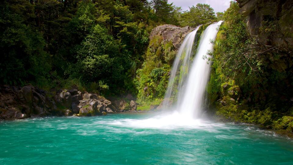 A waterfall cascading into turquoise water surrounded by dense green forest.