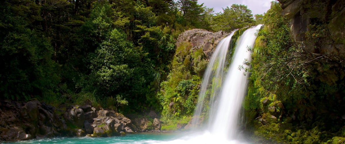 A waterfall cascading into turquoise water surrounded by dense green forest.