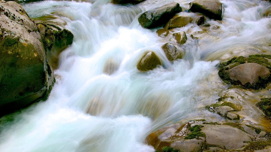 Turangi which includes a river or creek