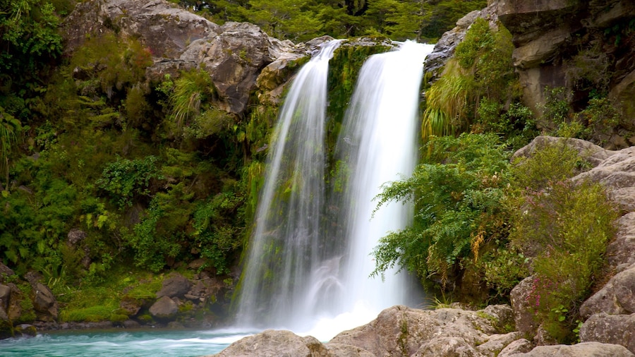 Turangi showing a waterfall