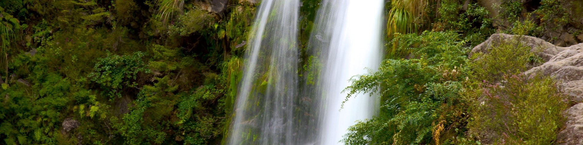 Turangi mostrando una catarata
