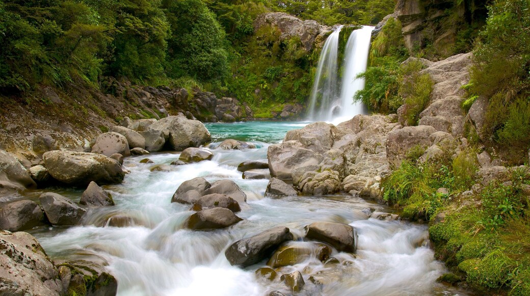 Turangi das einen Fluss oder Bach