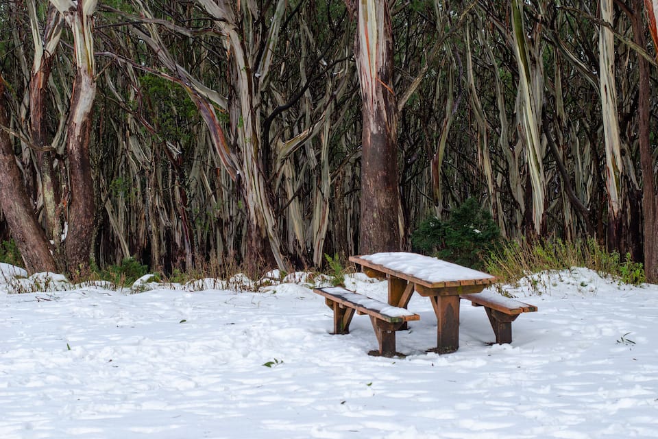 A snow-covered picnic table and bench in a forest.