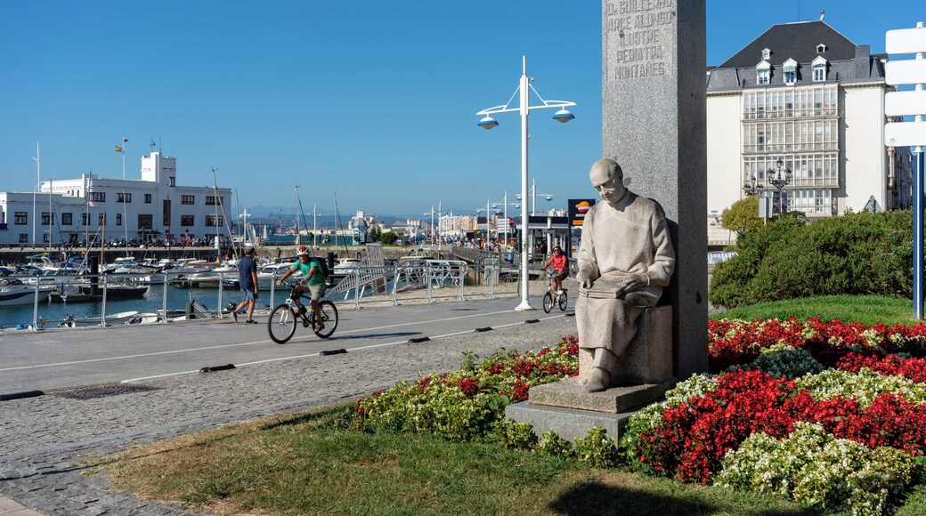 ํธ์๋ฅดํ ์น์ฝ