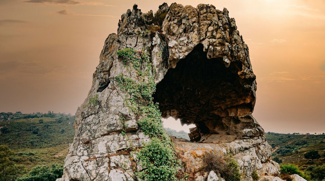 Guadacorte