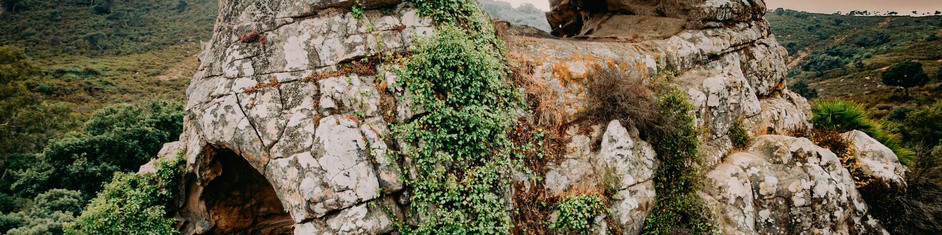 A rocky formation with a natural arch and surrounding vegetation.