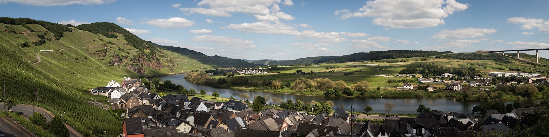 panorama of vineyards in the mosel region, germany