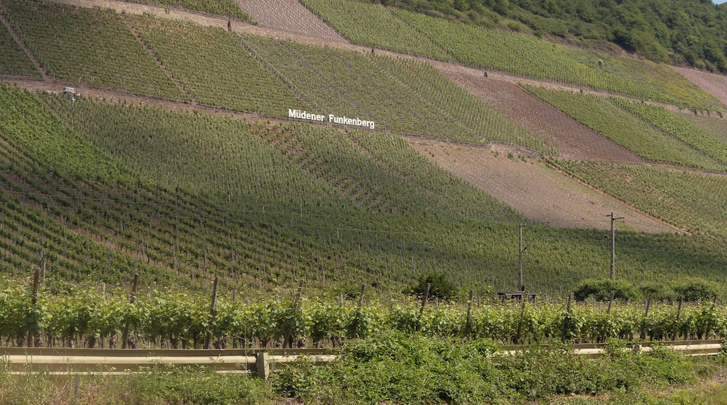 MĂŒden, the MĂŒderner Funkenberg