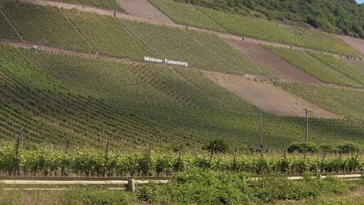 Müden, the Müderner Funkenberg