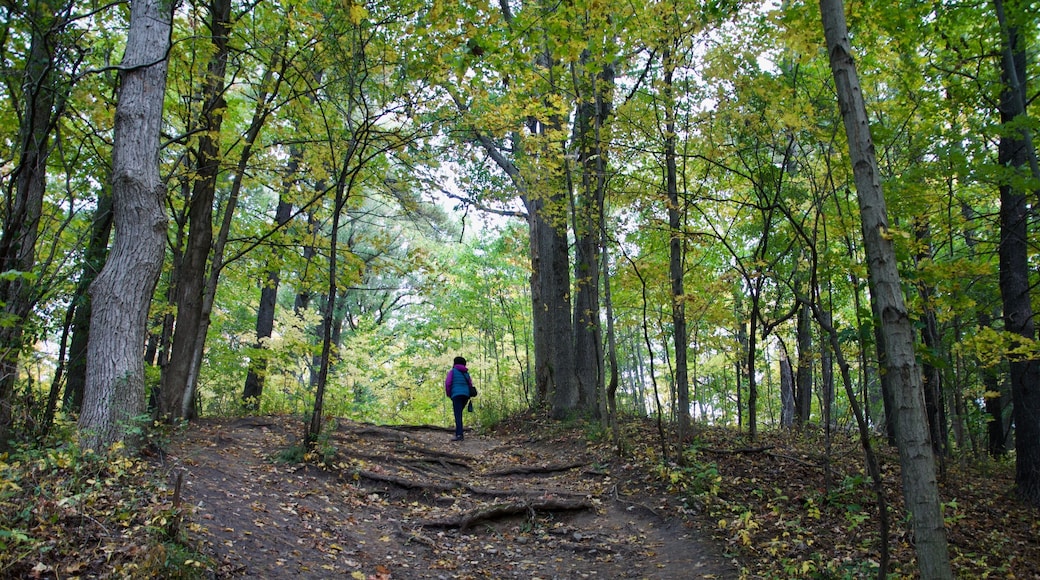 The beautiful Rouge Park in autumn