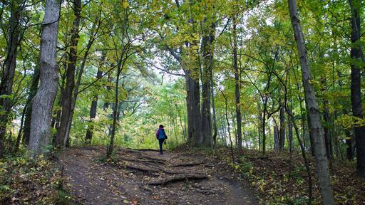 The beautiful Rouge Park in autumn