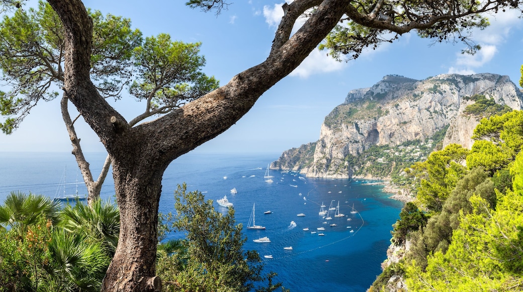 Belvedere di Tragara viewpoint in summer, Capri, Italy