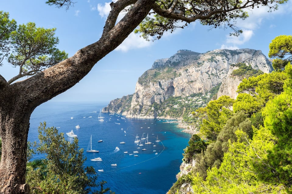 A coastal landscape with a prominent tree in the foreground, a rocky cliff, and a view of the sea with several boats.