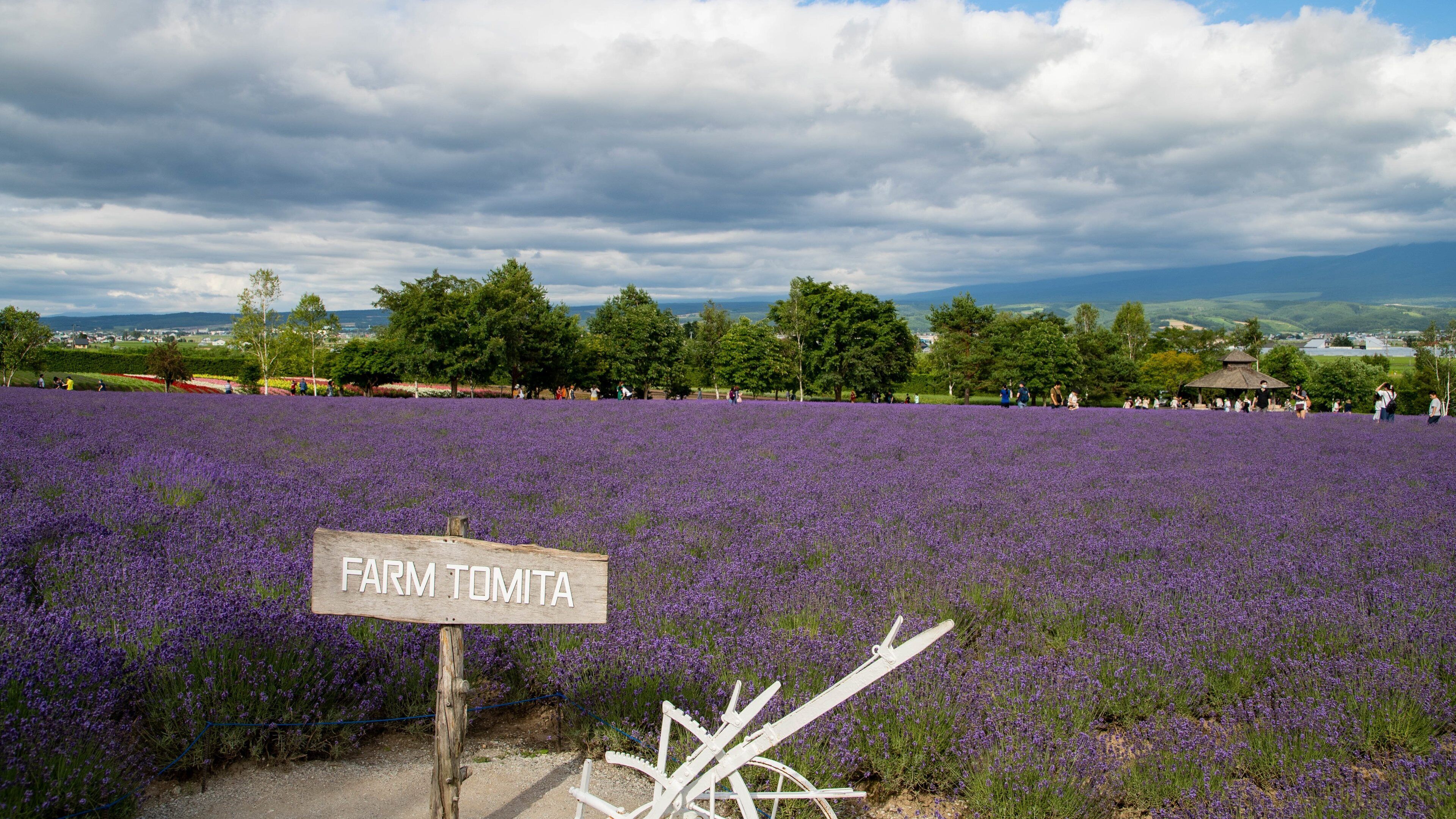 Farm Tomita