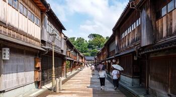 Higashi Chaya District, is known for its traditional tea houses and Geisha entertainment.
Tips: Kanazawa is a perfect day trip from Kyoto/Osaka. Be sure to buy a 1 day Kanazawa Loop Bus pass for 500 yen.
#LikeALocal
#bvsjapan