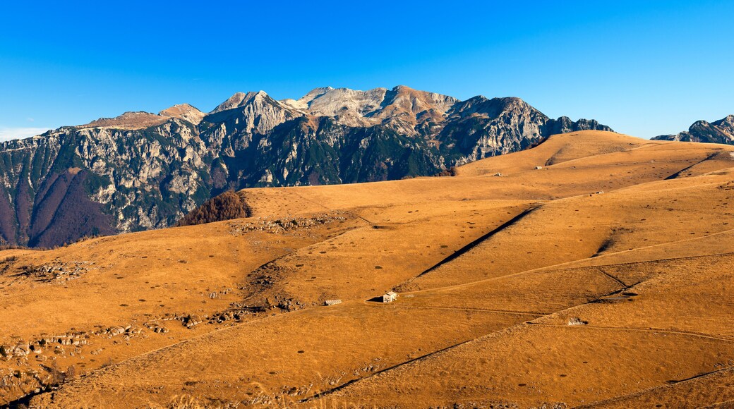 Plateau of Lessinia and Italian Alps / Plateau of Lessinia, Regional Natural Park of Lessinia, Veneto, Verona, Italy. In the background the Italian Alps (Carega)