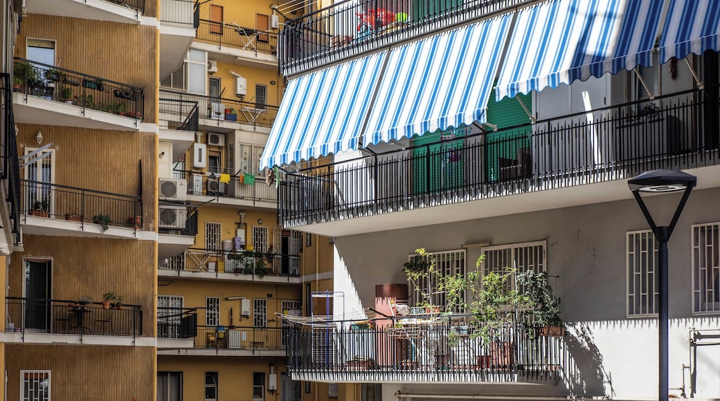 ๋ฆฌ์ค๋ค ์ํ