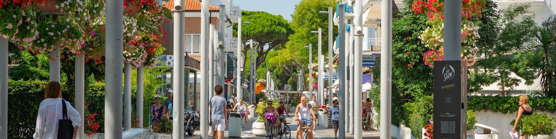 Viale Dante