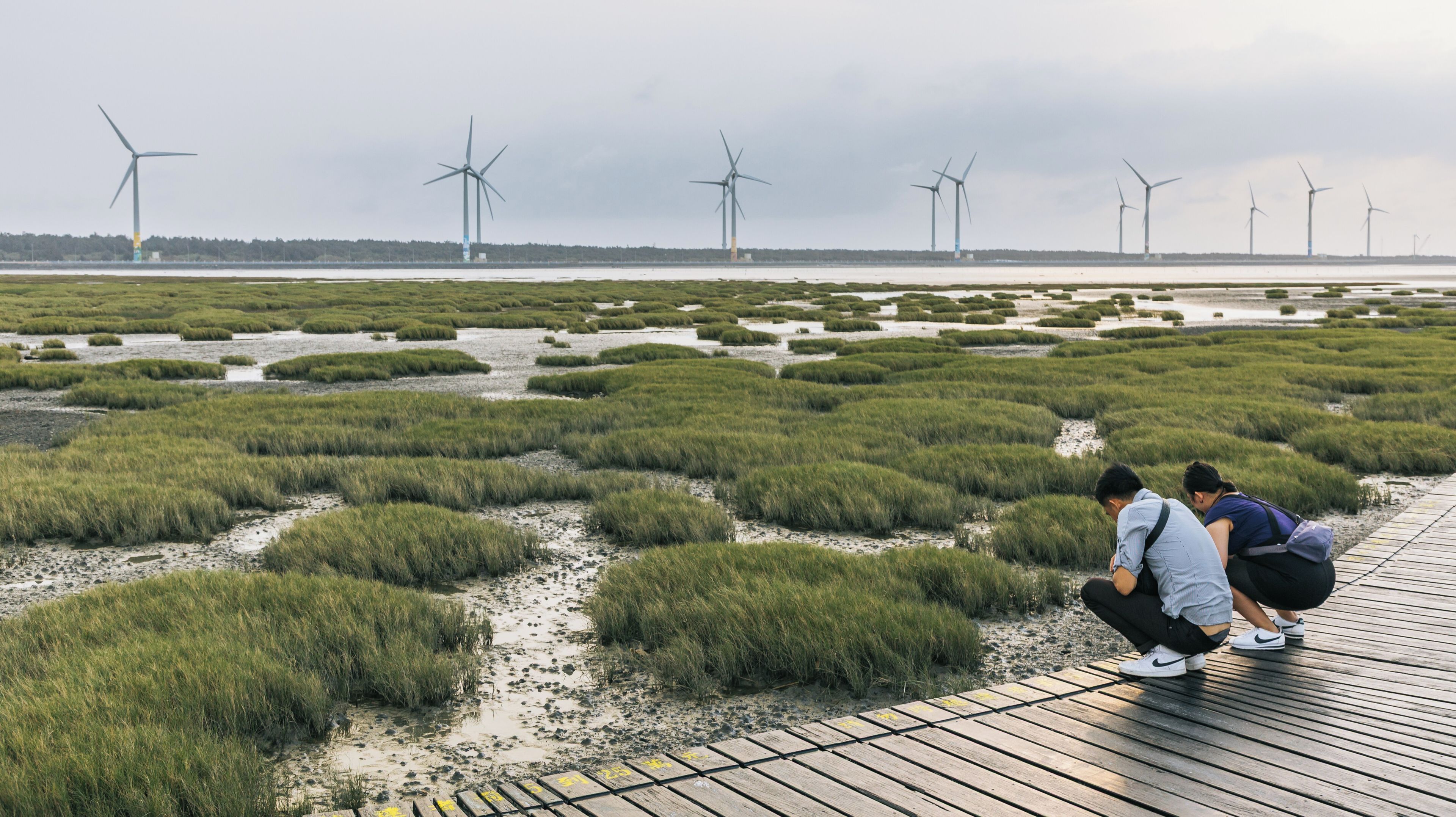 Gaomei Wetlands