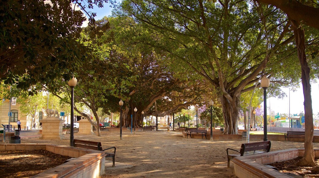Parque de Canalejas which includes a garden