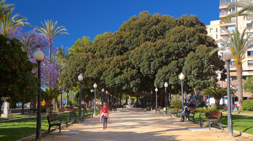 Parque de Canalejas featuring a park